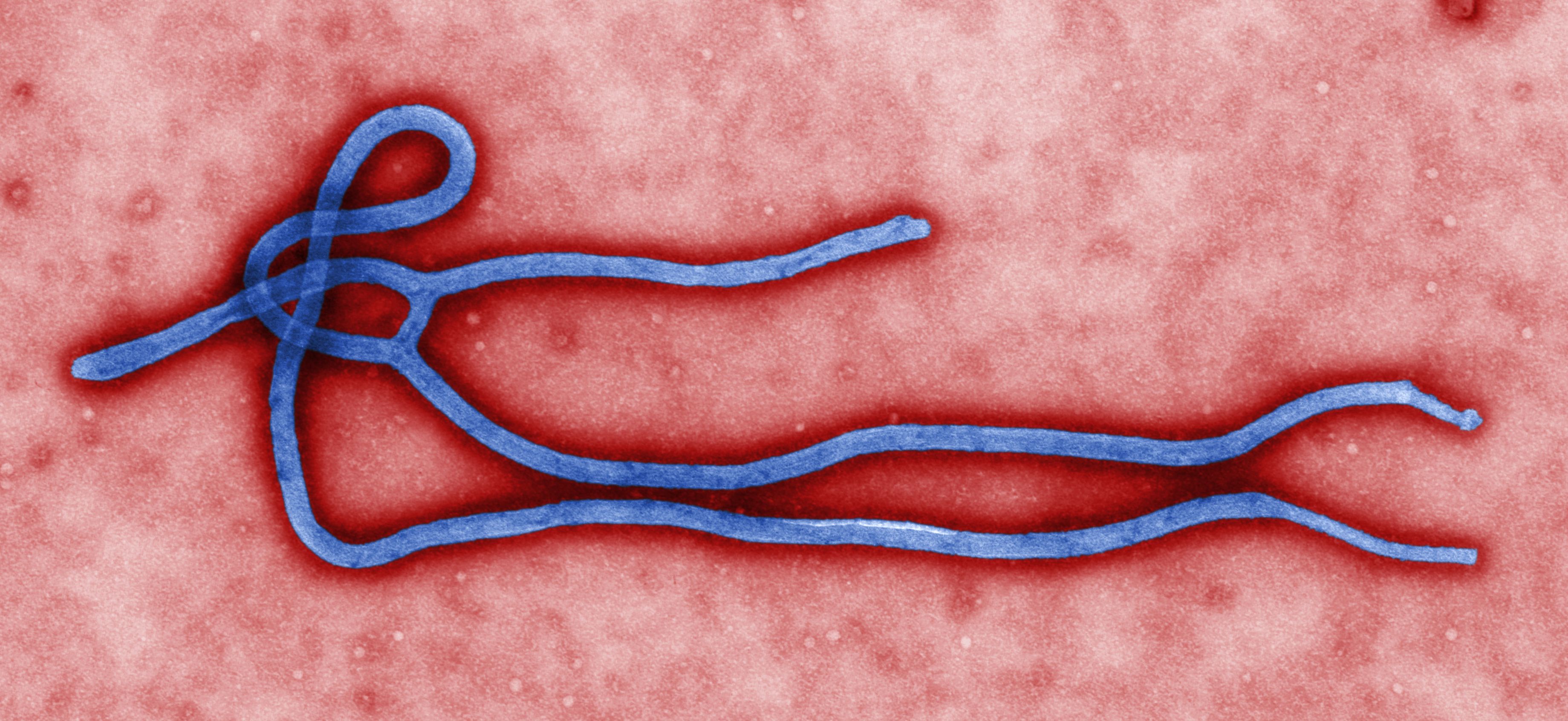 Ebola: Updates on the Outbreak - cover