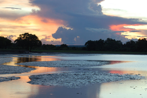 South Luangwa National Park in Zambia. (Photo credit: Joachim Huber via Flickr)