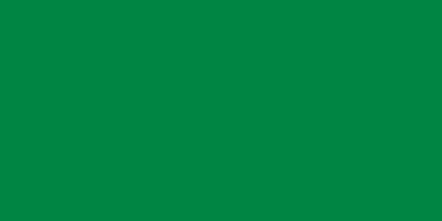640px-Flag_of_Libya_(1977-2011).svg