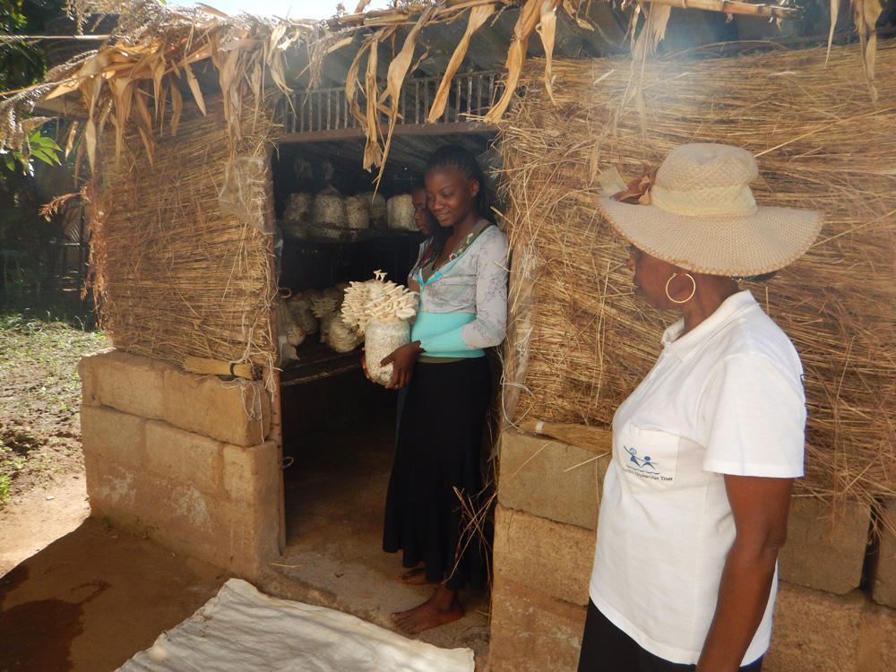 Commercial chicken barn, easy to clean - Nuform Building ... ONE | From Pulp to Protein: Orphans Pulling Orphans out of ...