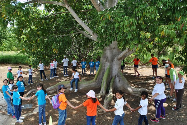 A group of Girl Scouts visited a national forest and planted 100 trees! Photo credit: Jose G. Martinez/USFWS
