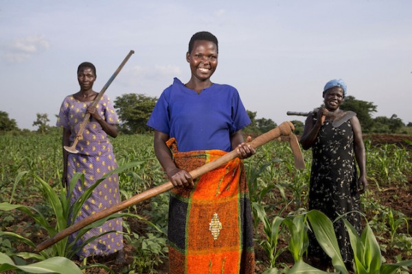 Women from the Self Help Group Alita Kole in Ayala, Uganda, taking care of their crops that they own together as a group. This gardening activity is part of an income generating activity supported by Reproductive Health Uganda. (Photo credit: Jonathan Torgovnik/Reportage by Getty Images)