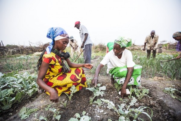 Access to antiretroviral (ARV) treatment through a Global Fund- supported program has enabled Dorothy (right) to get back on her feet, and today she teaches others living with HIV to grow their own organic vegetables for their own health as well as a source of income. (Photo credit: The Global Fund / John Rae)