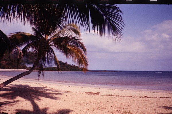Photo credit: Madagascar74/Wikimedia Commons
