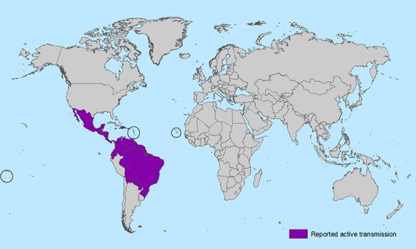 Map of reported transmission of Zika virus as of February 3, 2016. (Photo credit: CDC)